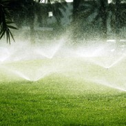 This image is of a sprinklers